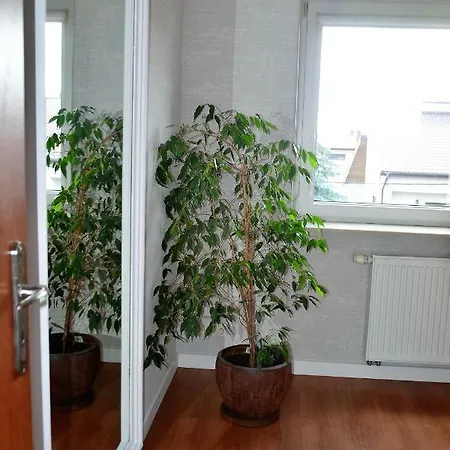 Tarnow Dom / Apartament W Centrum Exterior photo
